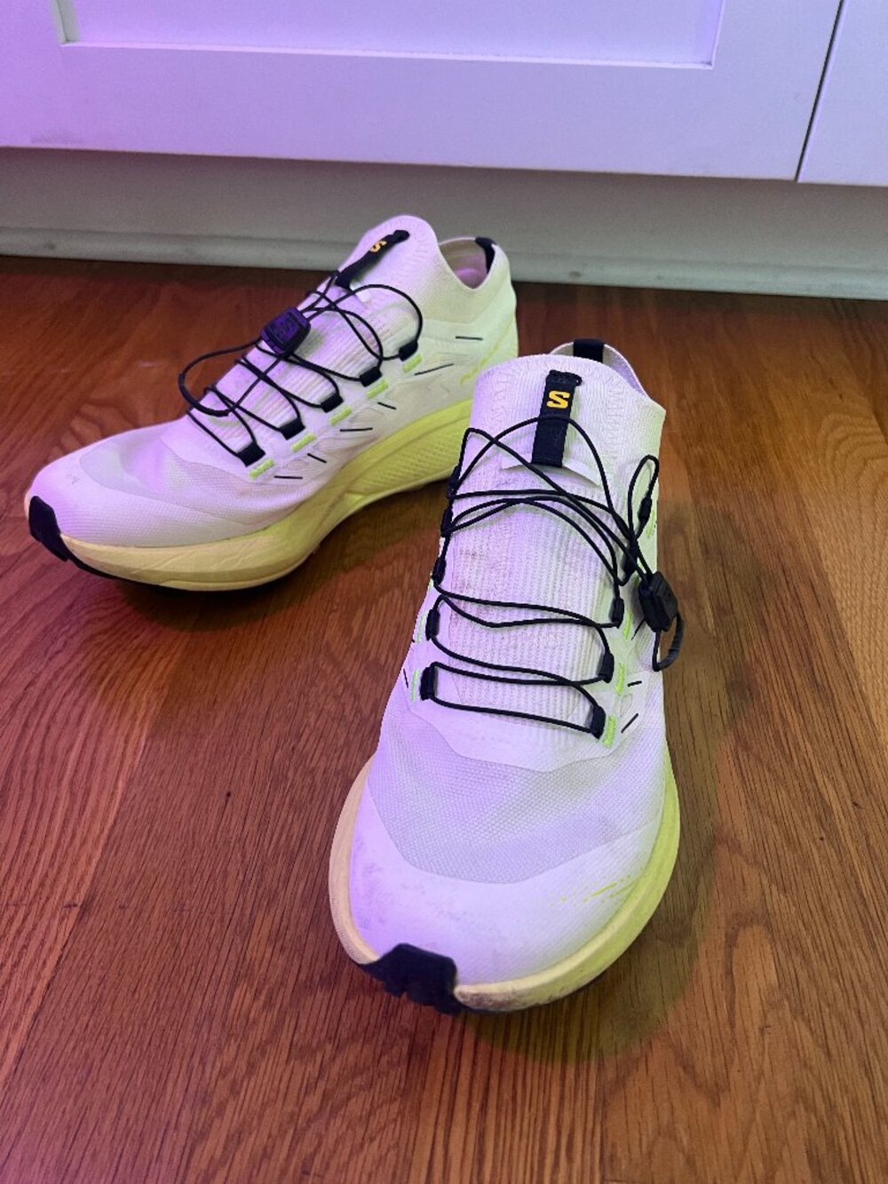 Salomon Pulsar Trail Pro 2